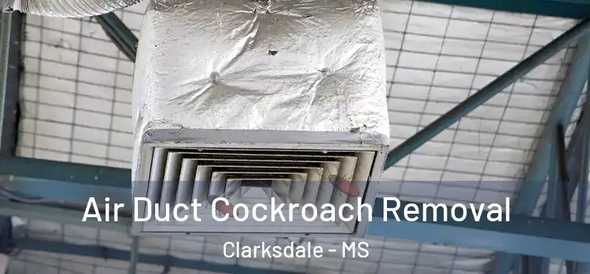  Air Duct Cockroach Removal Clarksdale - MS