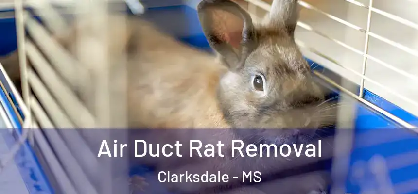  Air Duct Rat Removal Clarksdale - MS