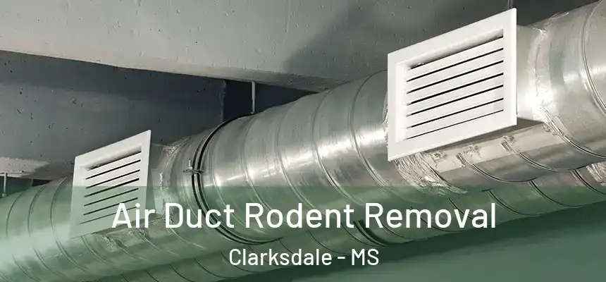  Air Duct Rodent Removal Clarksdale - MS