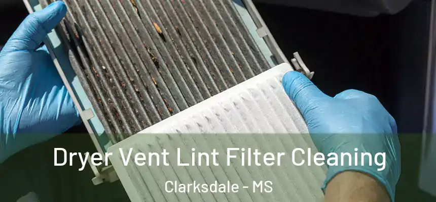 Dryer Vent Lint Filter Cleaning Clarksdale - MS