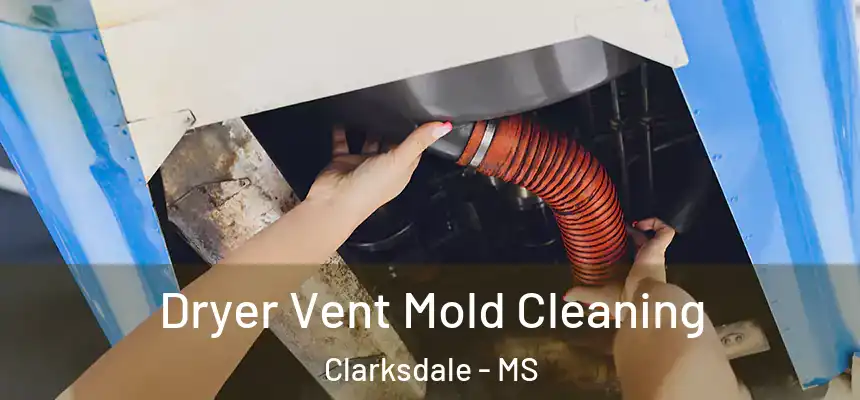  Dryer Vent Mold Cleaning Clarksdale - MS