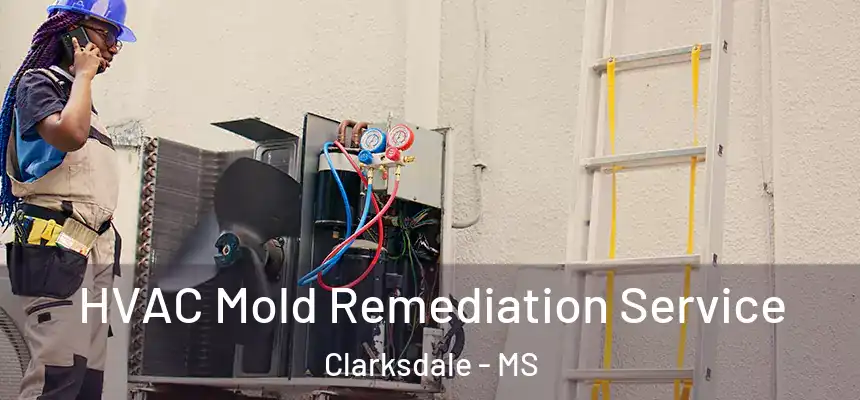  HVAC Mold Remediation Service Clarksdale - MS
