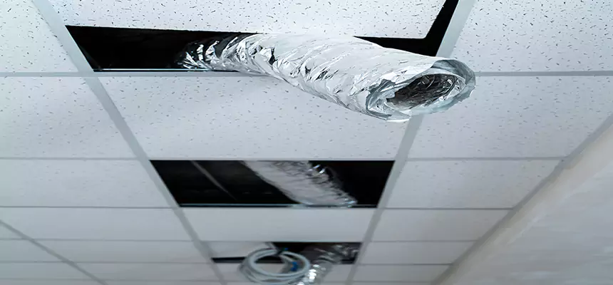 Our Air Duct Pet Hair Removal Services in Clarksdale, MS