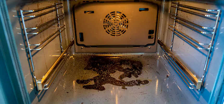 Our Dryer Vent Mold Cleaning Services in Clarksdale, MS