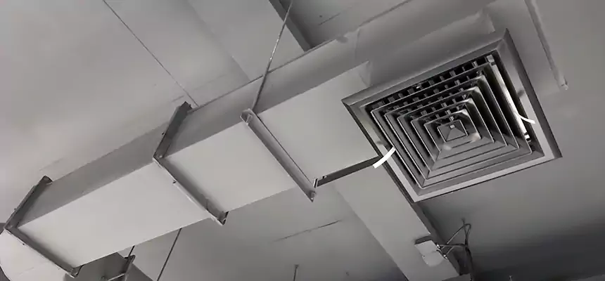 Our Pest Removal From Ducts Services in Clarksdale, MS