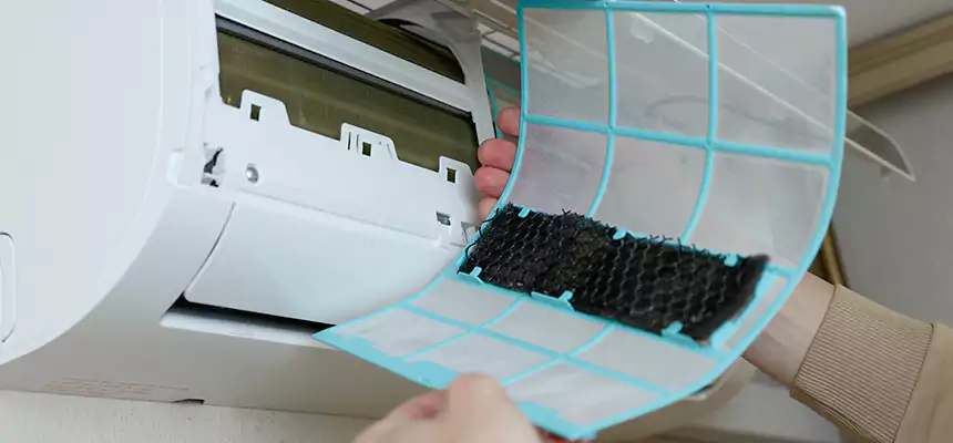 Gentle Ductwork Odor-Control Pet Dander Duct Cleaning in Clarksdale, MS