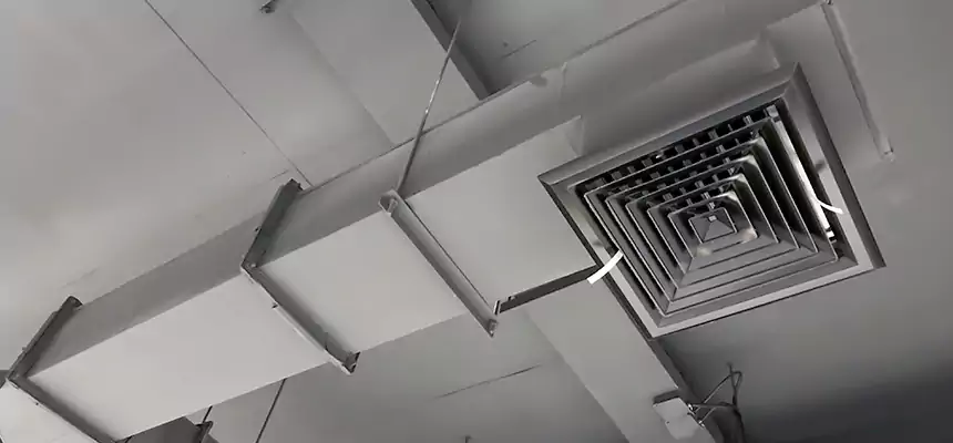 Our Rodent Droppings In Vents Services in Clarksdale, MS