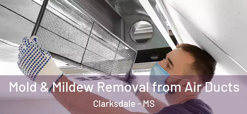  Mold & Mildew Removal from Air Ducts Clarksdale - MS