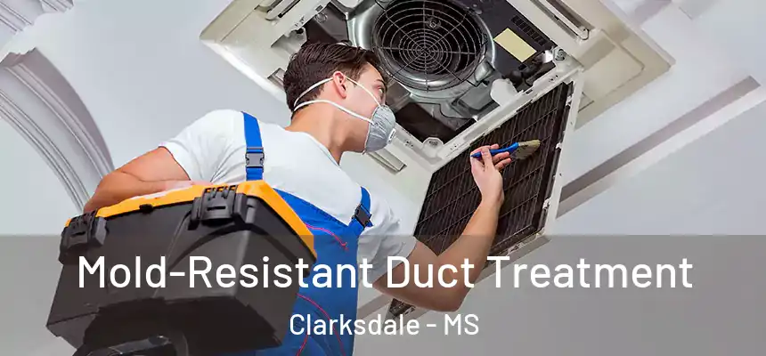  Mold-Resistant Duct Treatment Clarksdale - MS