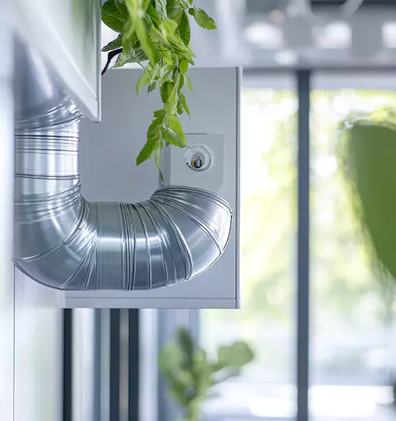 Professional Eco-Safe Dryer Vent Cleaning in Clarksdale, MS