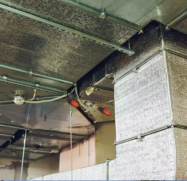 Why Homeowners & Businesses Trust Us in Clarksdale, MS?