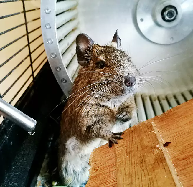 Why Homeowners & Businesses Trust Us Clarksdale, MS